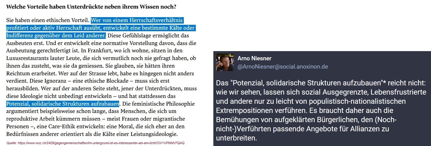 2024-08-01_woz_loick_welche-vorteile-haben-unterdrueckte_potenzial-solidarische-strukturen-aufzubauen